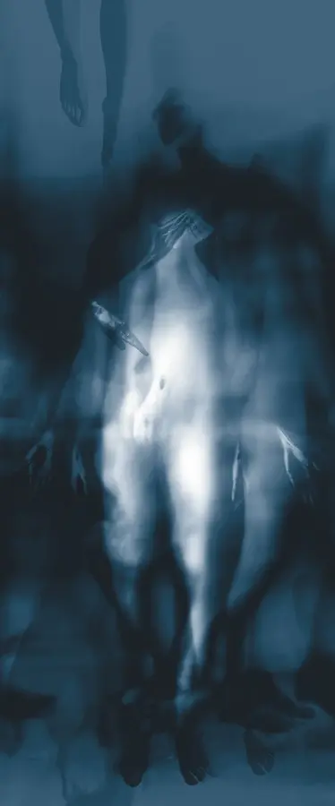 01jvz989kq8r3m14fkywgjwng7