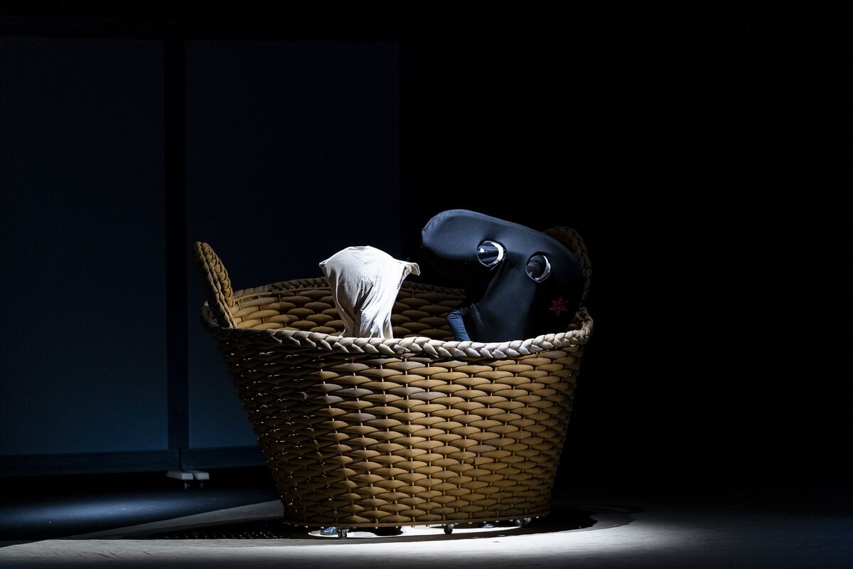 niesamowite przygody skarpetek fot. pawel janic janicki 002